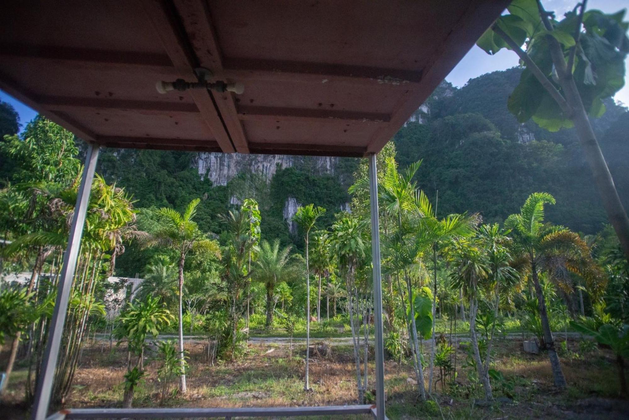 The Camper Lodge Khao Sok Ban Bang Bon Extérieur photo